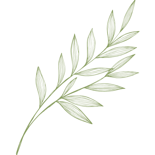 Natural green leaf icon symbolizing pure, high-quality ingredients, sustainability, and eco-friendly skincare. Perfect for representing clean, plant-based formulations.
