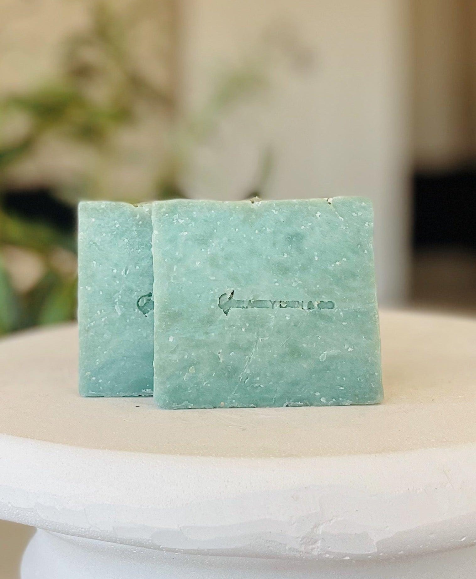 Legendary men's soap by Blakely Bath & Co, crafted with goat's milk for deep cleansing and refreshing the skin, with powerful natural ingredients for smooth, hydrated skin