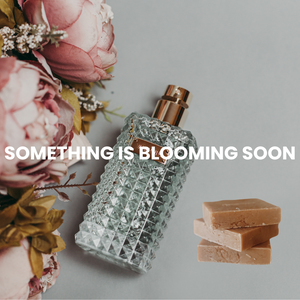 Soft pink roses with a luxurious fragrance, symbolizing the fresh and elegant scent of our new Rosé Gold Body Box—perfect for spring self-care - Blakely Bath & Co